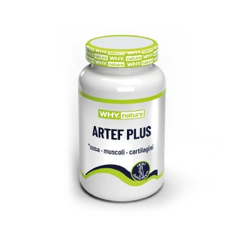 Artef plus 60 cpr