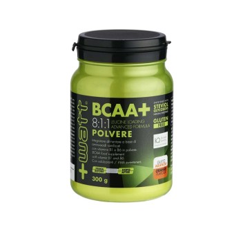 BCAA+8:1:1 POLVERE - +WATT