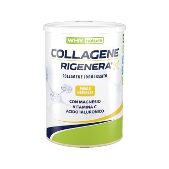 Collagene rigenera 330Gr