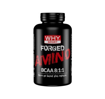 FORGED AMINO BCAA 8:1:1 - Aminoacidi ramificati 8:1:1 con Glutammina e ALC WHY SPORT