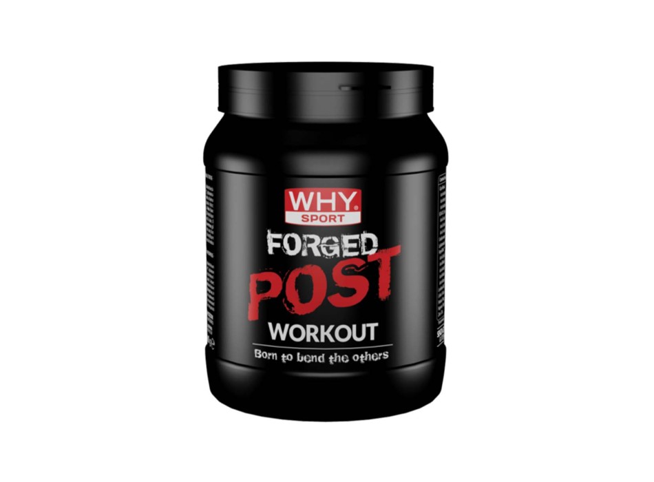 FORGED POST WORKOUT - Post-Workout con creatina, glutammina e bcaa 8:1:1 WHY SPORT