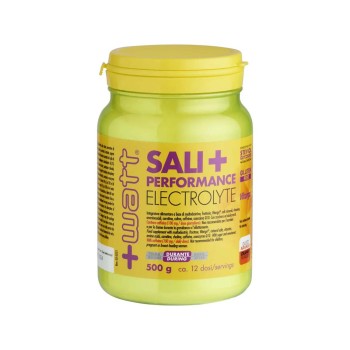 SALI+PERFORMANCE ELECTROLYTE - Integratore di sali minerali, fruttosio, maltodestrine, vitargo e caffeina +WATT