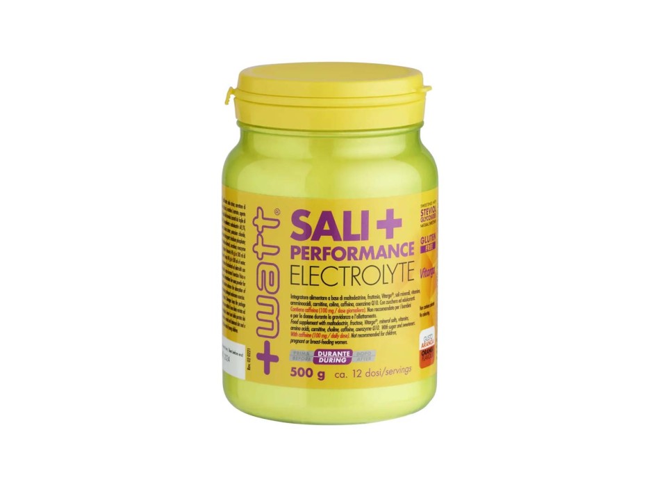 SALI+PERFORMANCE ELECTROLYTE - Integratore di sali minerali, fruttosio, maltodestrine, vitargo e caffeina +WATT