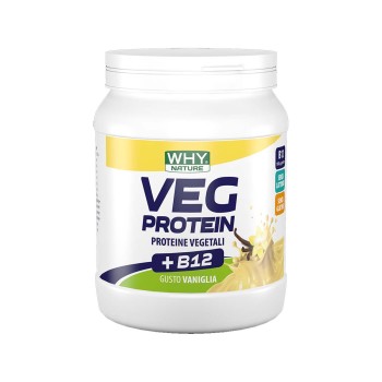 Veg Protein 450Gr