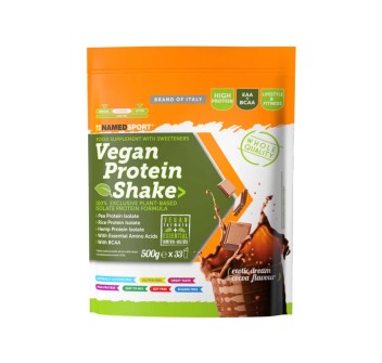 Vegan Protein Shake